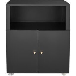 Metal Printer Stand & File Cabinet – 2-Door Storage Cupboard with Adjustable Shelf, Mobile Filing Cabinet for Home Office, Garage, Small Spaces