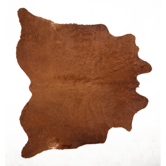 "Oakham One-of-a-Kind 5'9"" x 6'7"" Area Rug in Brown"