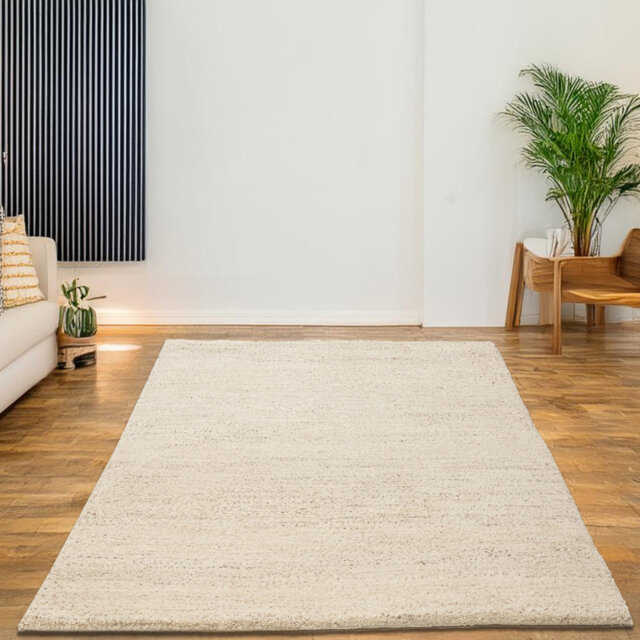 Pinney Hand Woven Hand Knotted Beige Area Rug Set