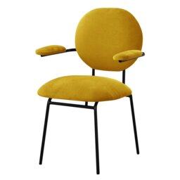 Upholstered Armchair