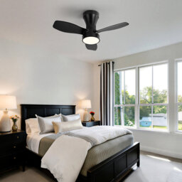 LED Ceiling Fan Light With Remote, Compact Fan