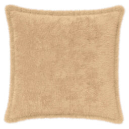 Cushion