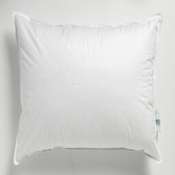 Iona Cushion Pad