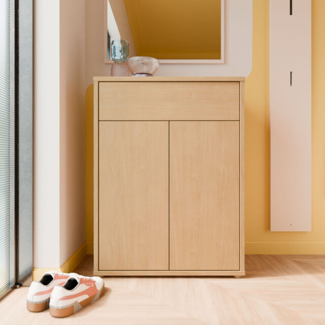 Saabir 9 Pair Shoe Storage Cabinet