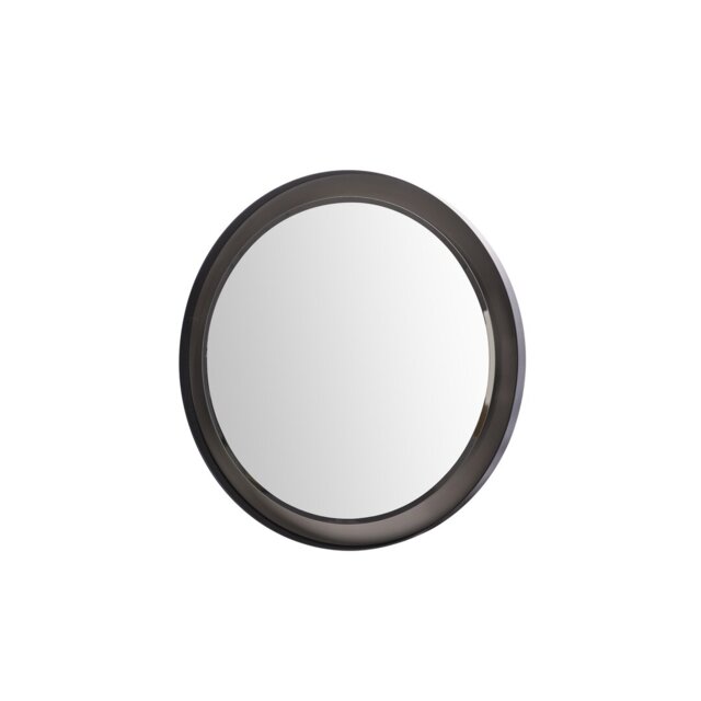 Easha Round Metal Framed Wall Mounted Accent Mirror in Black and Silver