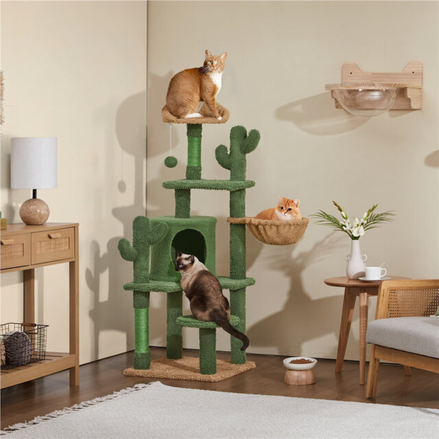 135cm H Cat Cactus Tree