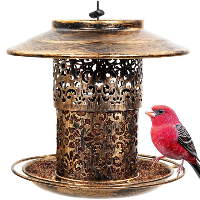 Outdoor Hanging Metal Bird Feeder Weather Resistant Garden Decor