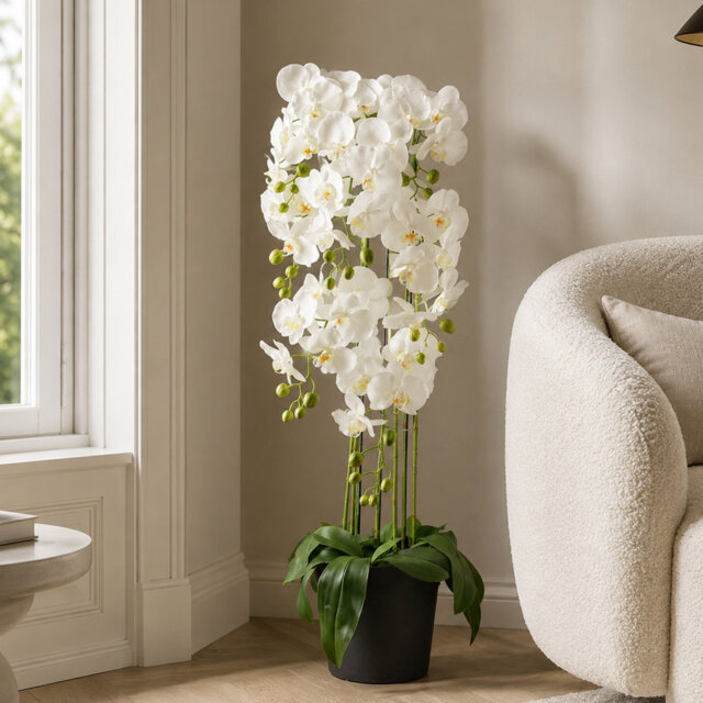 Real Touch Artificial Orchids Plastic, Silk Artificial Arrangement in Planter
