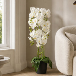 Real Touch Artificial Orchids Plastic, Silk Artificial Arrangement in Planter