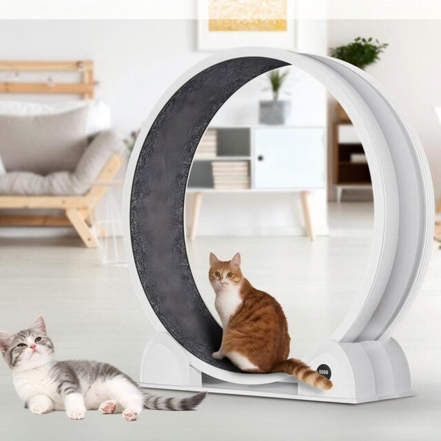 114.3cm H Cat Tree