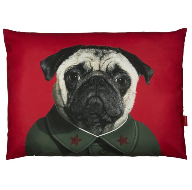 China - Pets Rock - Luxury Dog Bed