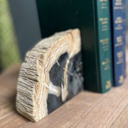 Petrified Wood Pair of Bookends