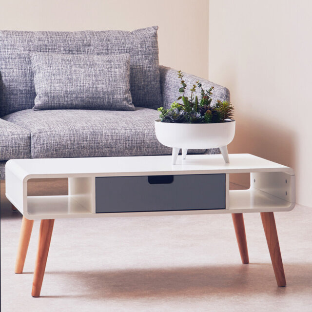 Cahoon Coffee Table with Storage
