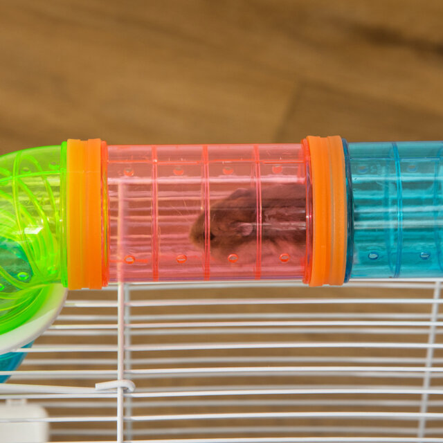 Hamster Cage