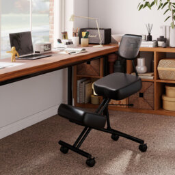 Foam Padding Task Chair