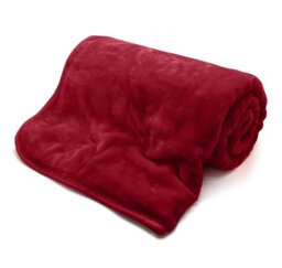 Lyle Plain Weave / Muslin Throw Blanket