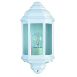 Casady Powder Coated Finish Outdoor Wall Lantern