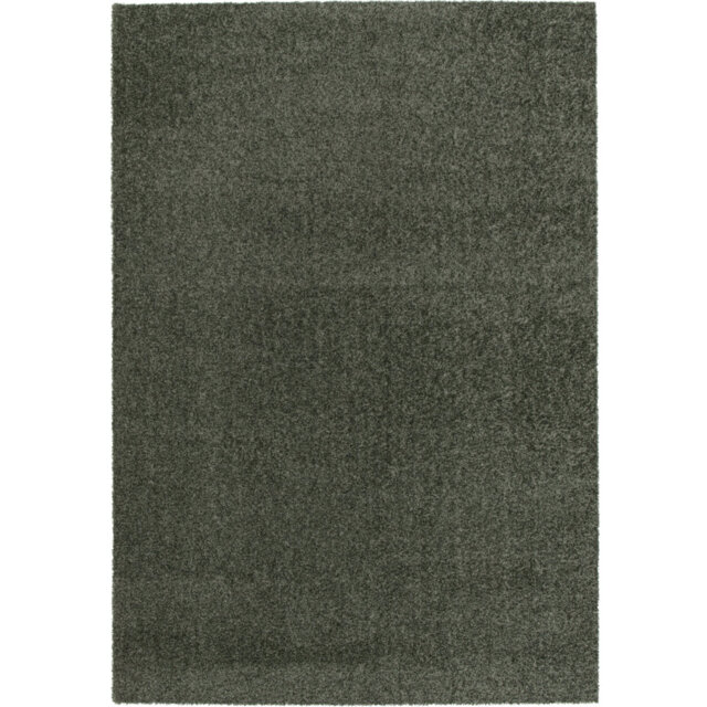 Bunia Machine Washable Forest Green Area Rug