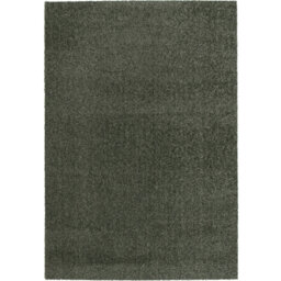 Bunia Machine Washable Forest Green Area Rug