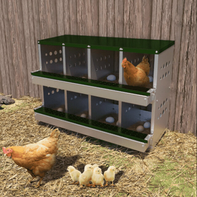 Chicken Coop with Nesting Box For Up To 10 Chickens