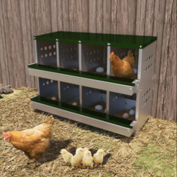 Chicken Coop with Nesting Box For Up To 10 Chickens