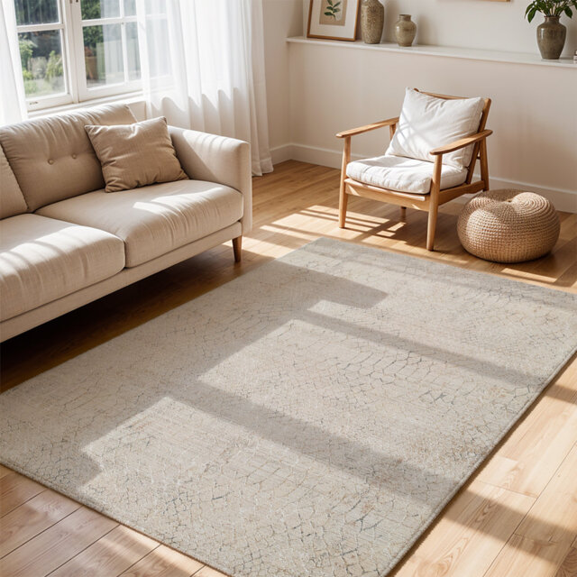 Modern Grey Beige Brown Graphic Fringe Living Dining Bedroom Rug