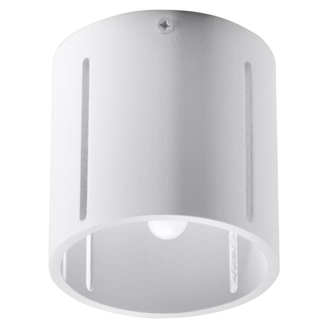 Denali Flush Mount