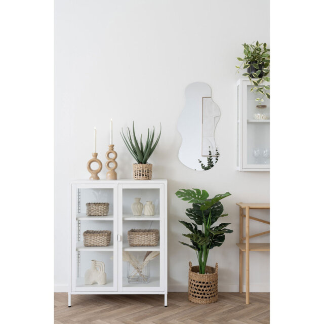 Bausch Display Cabinet