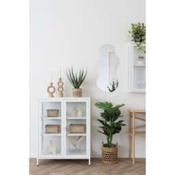 Bausch Display Cabinet