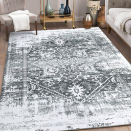 Machine Washable Area Rug with Non Slip Backing for Living Room