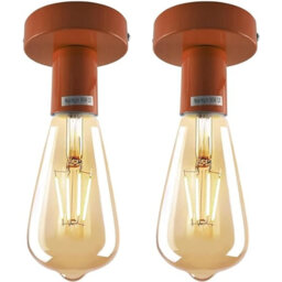 Flush Mount Light Semi Flush Mount