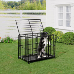 Dog House