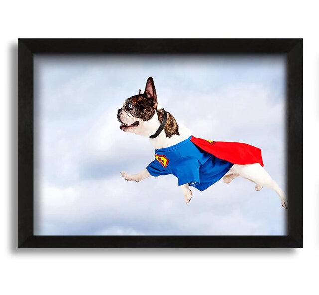 Super Dog Skies Framed Print