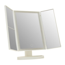 Auben Rectangle Floor Mirror