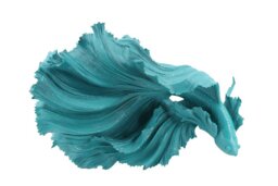 Wall Decor on Resin