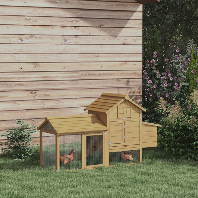 Dorothy Chicken Coop