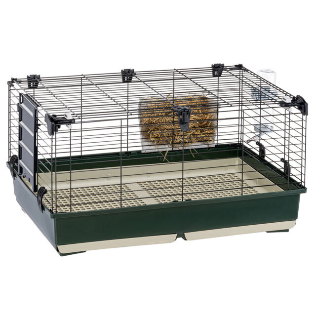 Indoor Rabbit Hutch Wayfair Guinea Pig Cages Archie Oscar™ Rabbit