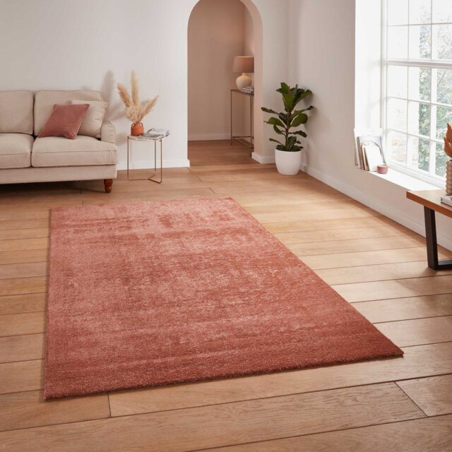 Paonia area rug Machine Woven Rectangle Terracotta
