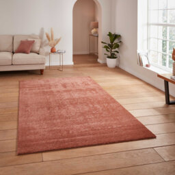 Paonia area rug Machine Woven Rectangle Terracotta