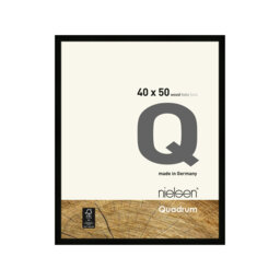 nielsen Quadrum Wooden Picture Frame With Glass Front
