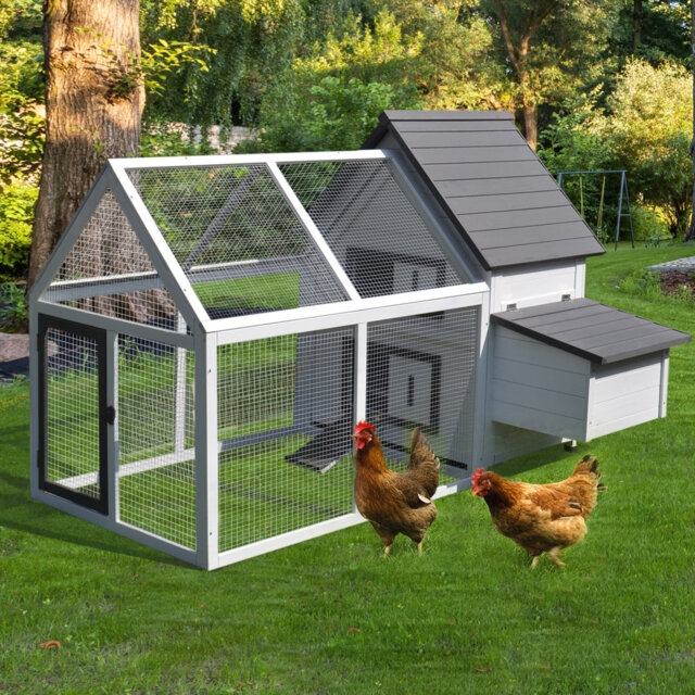 Torrance Chicken Coop with Chicken Run For Up To 1 Chicken