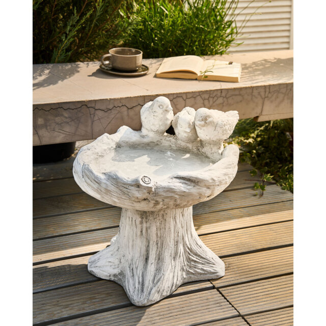 Birdbath
