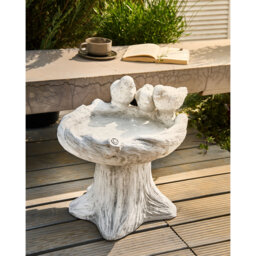 Birdbath