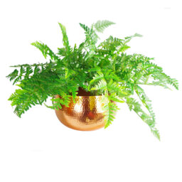 Westlake Handmade Metal Decorative Bowl 1