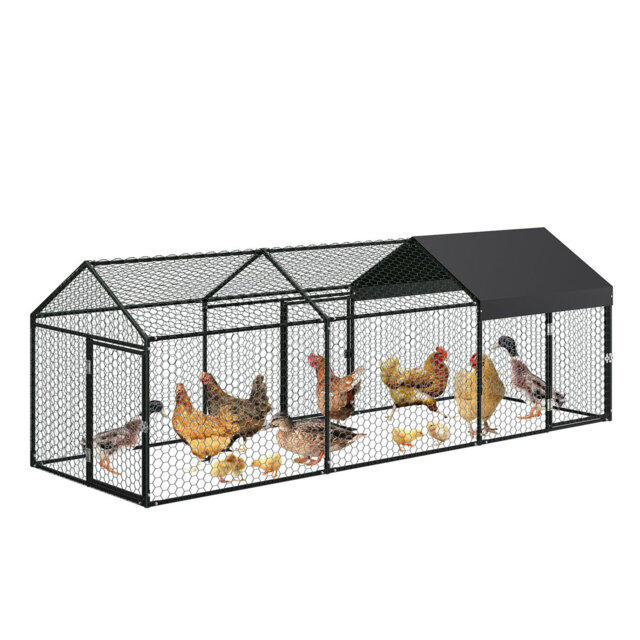 Chicken Coop