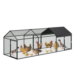 Chicken Coop