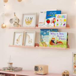 Acrylic Bracket Shelf