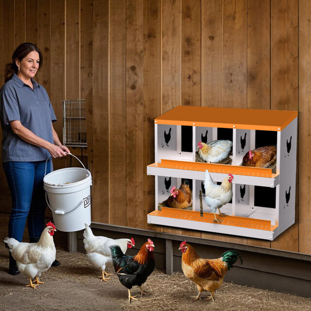 Chicken Coop