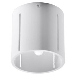 Denali Flush Mount