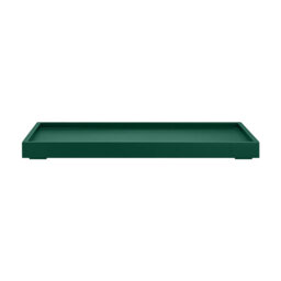 Tray